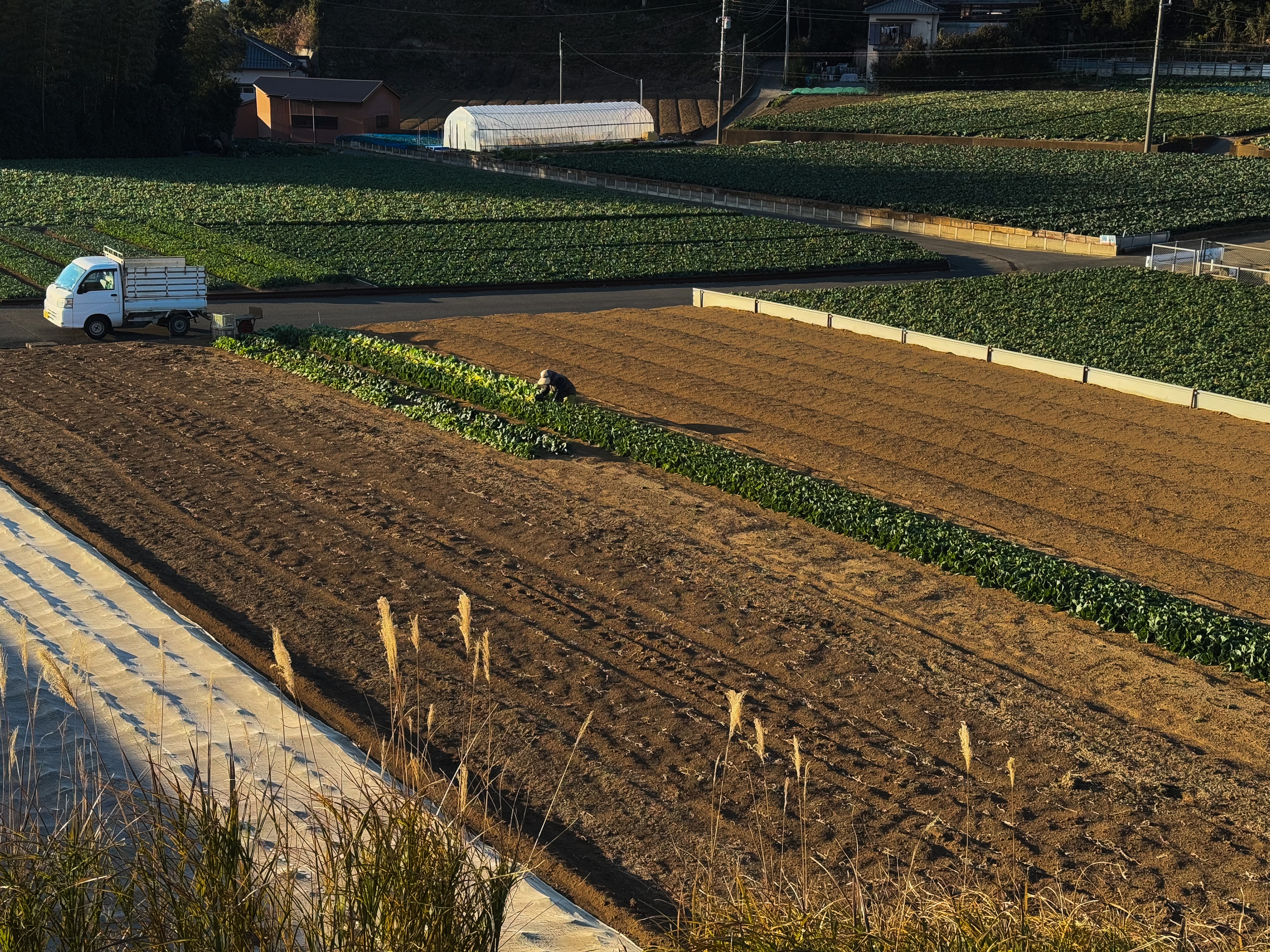 神奈川県 − 三浦半島