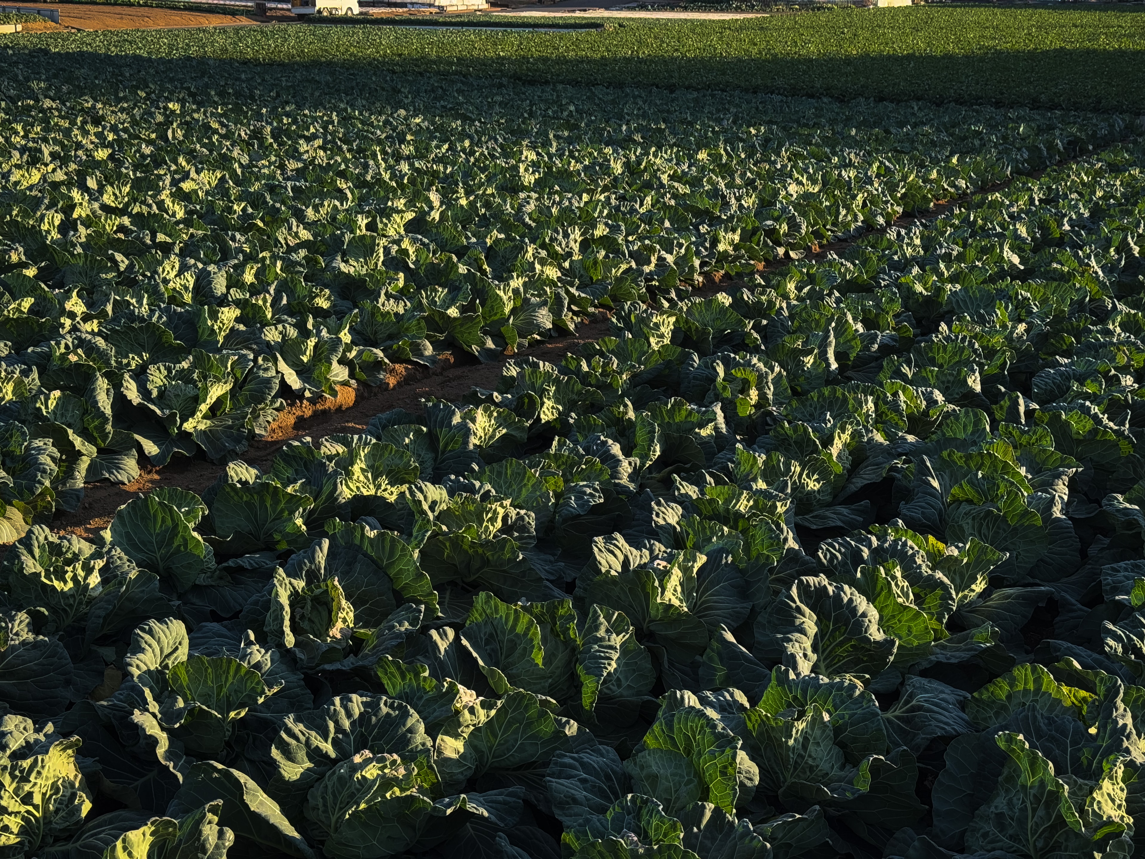 神奈川県 − 三浦半島