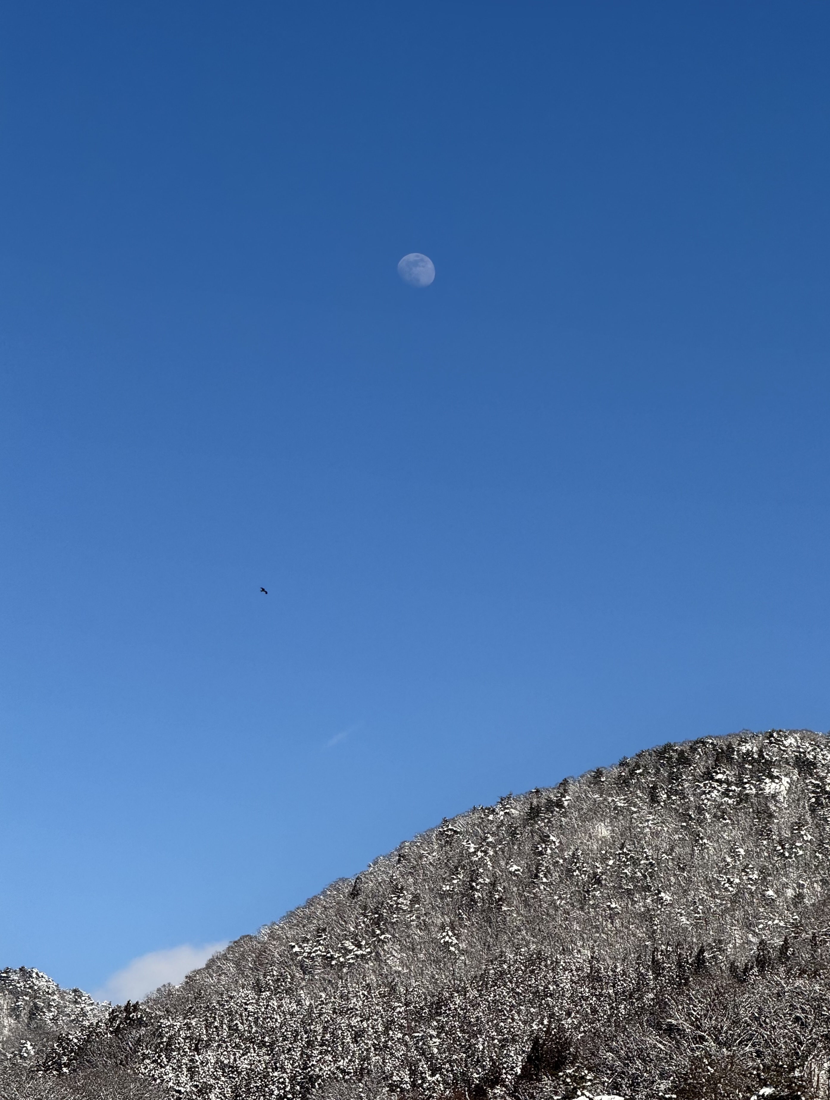 PLANET