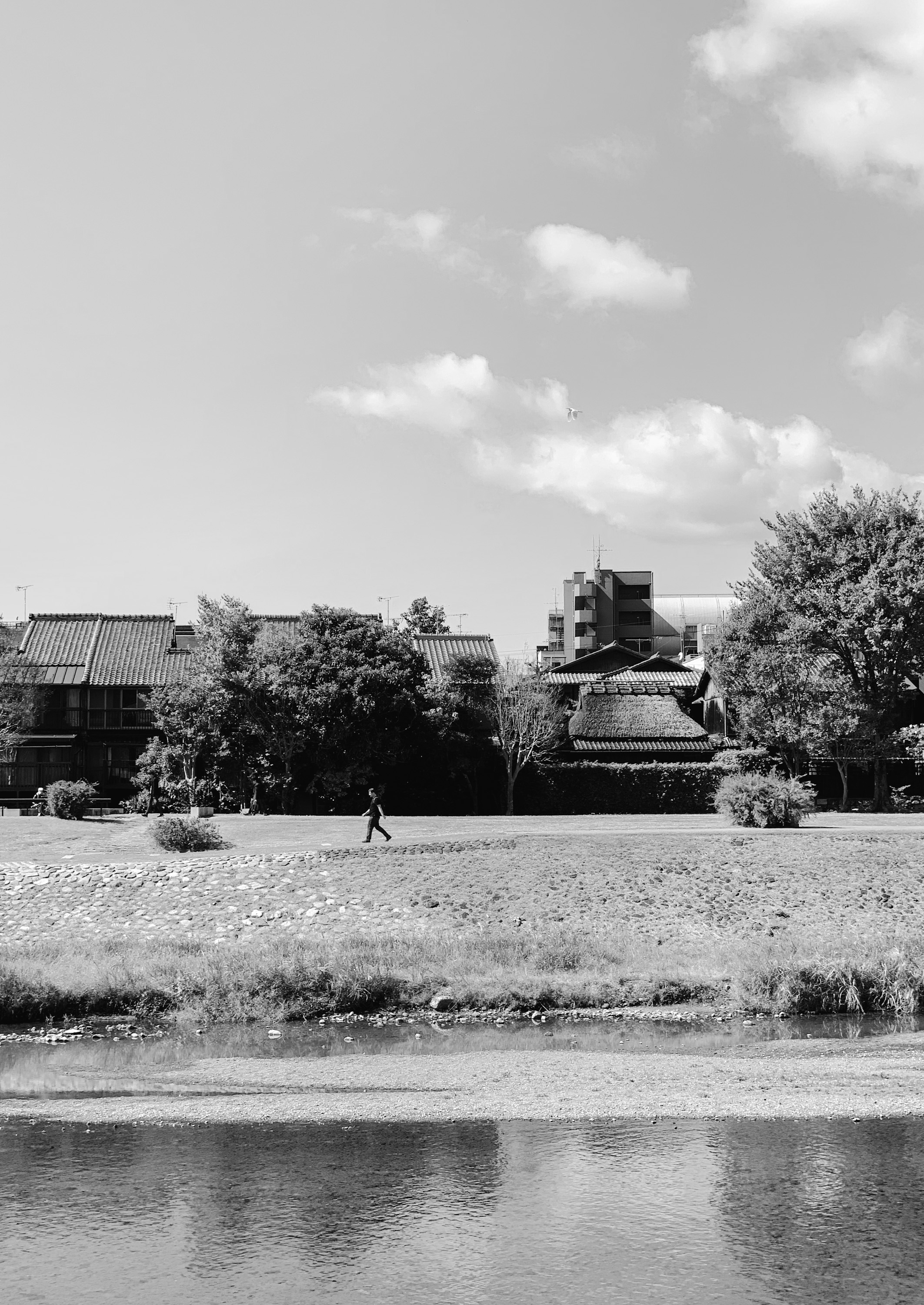 鴨川