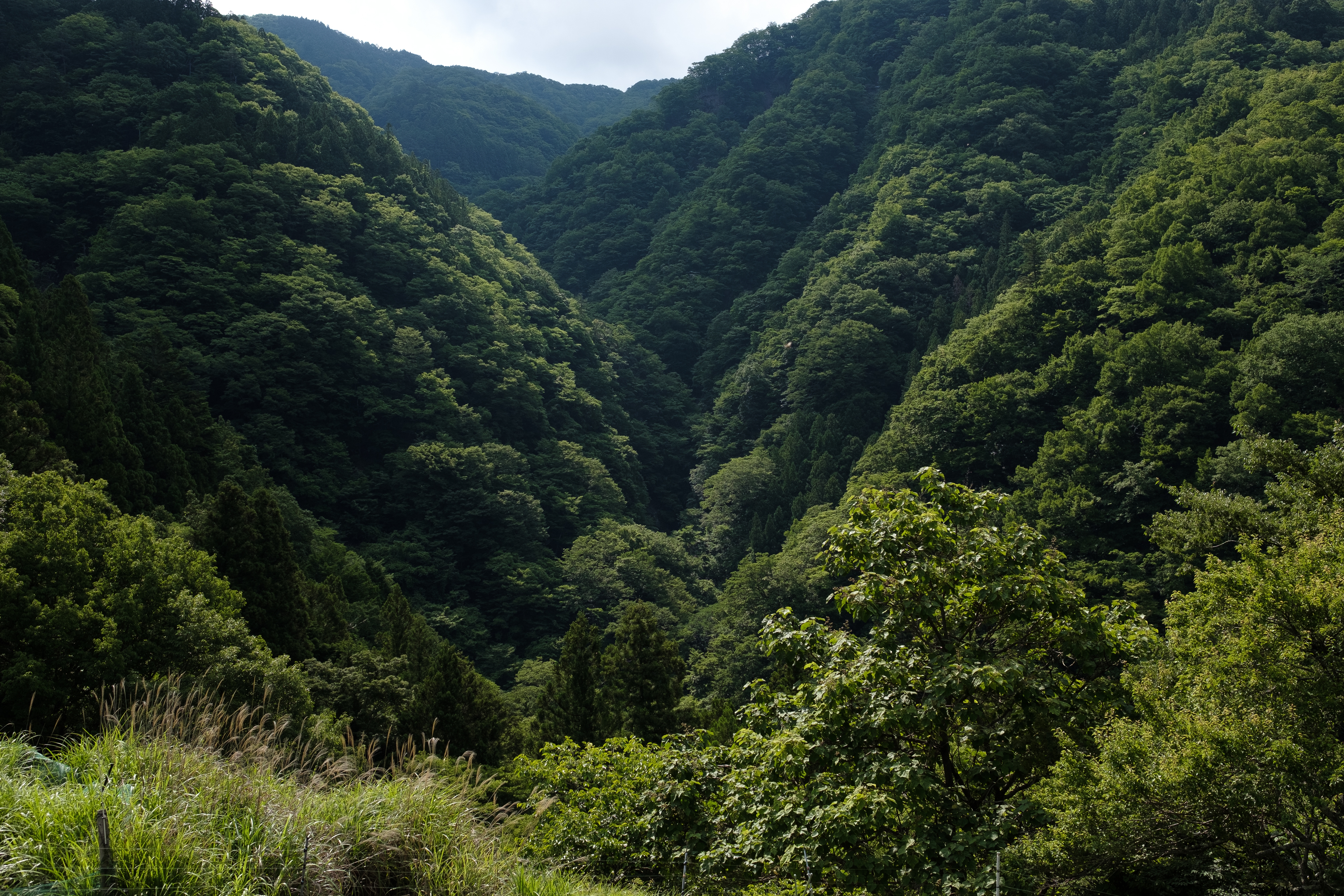 赤沢宿